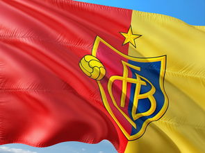 星空体育电脑版-法甲升班马快速适应顶级联赛经验分享,2021西甲升班马是哪几支球队